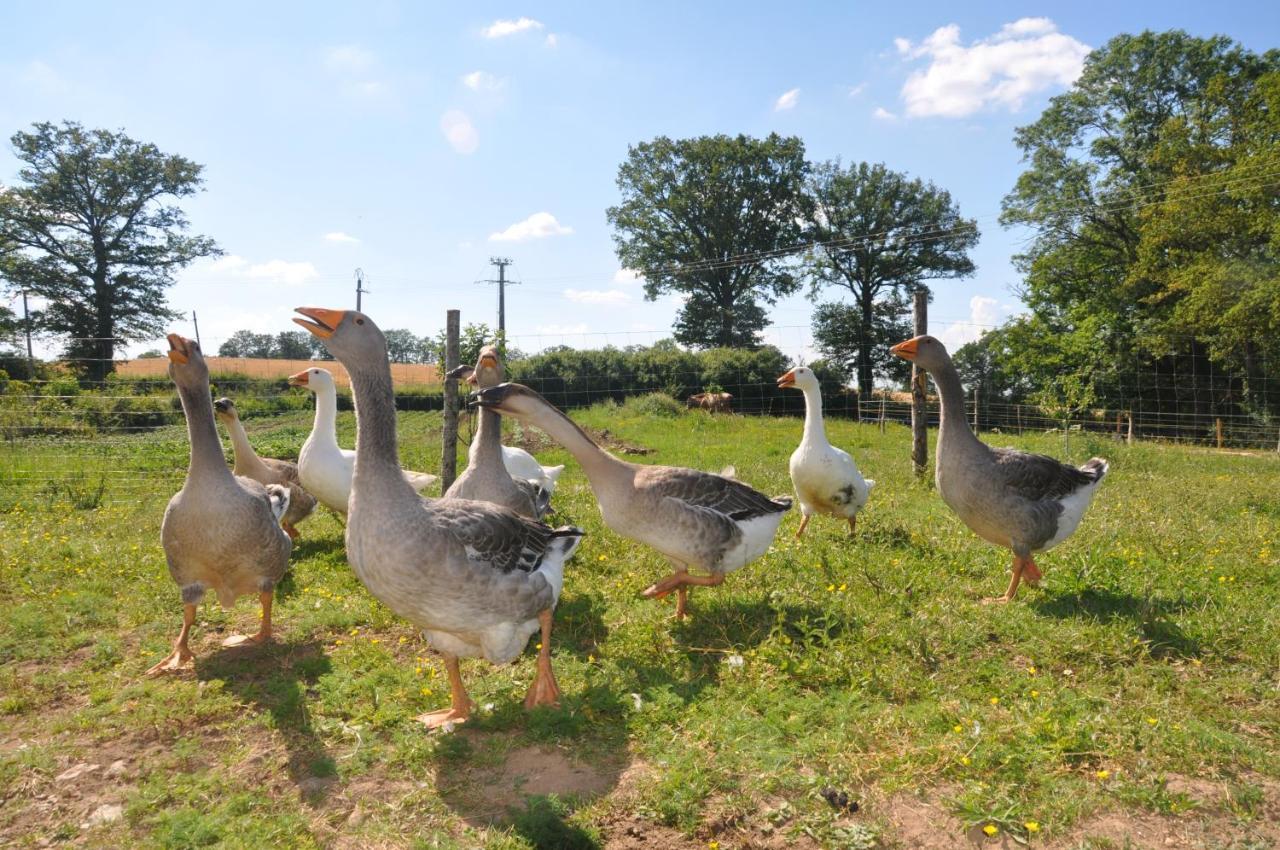 La Ferme Aux Cinq Sens Villa Bussiere-Boffy Exteriör bild