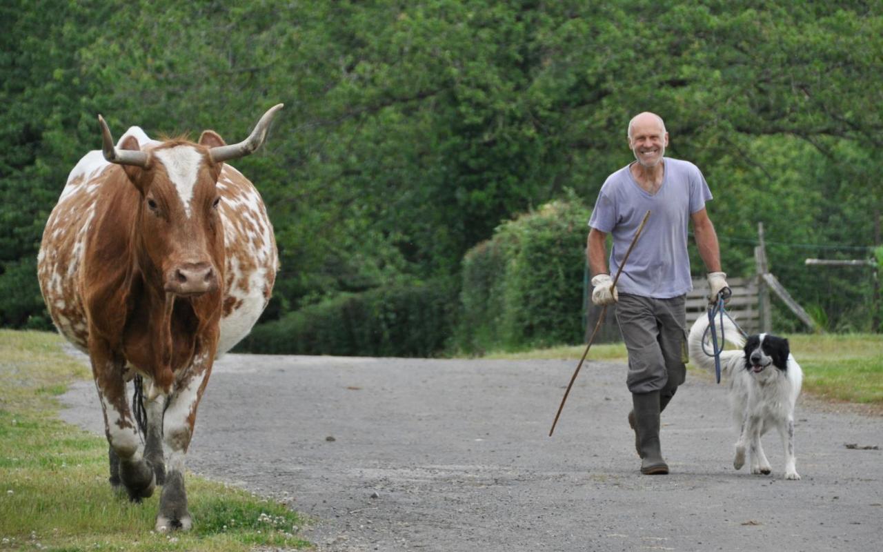 La Ferme Aux Cinq Sens Villa Bussiere-Boffy Exteriör bild