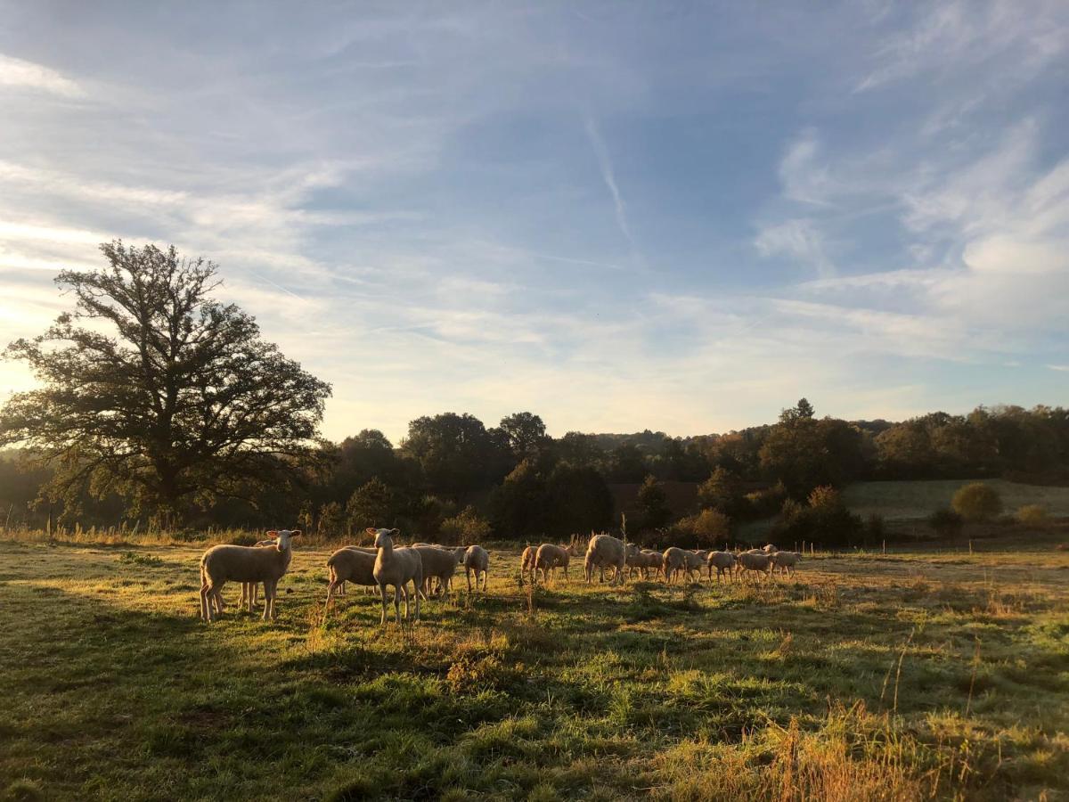 La Ferme Aux Cinq Sens Villa Bussiere-Boffy Exteriör bild